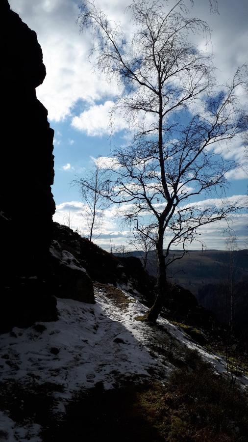 Apartmán Tereza Kraslice Esterno foto