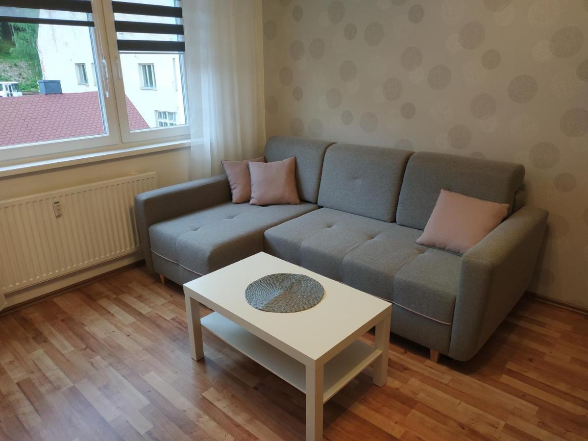 Apartmán Tereza Kraslice Esterno foto